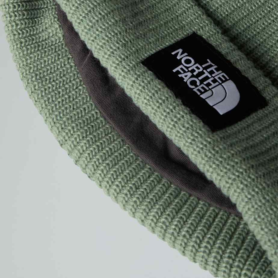 Salty Lined Beanie