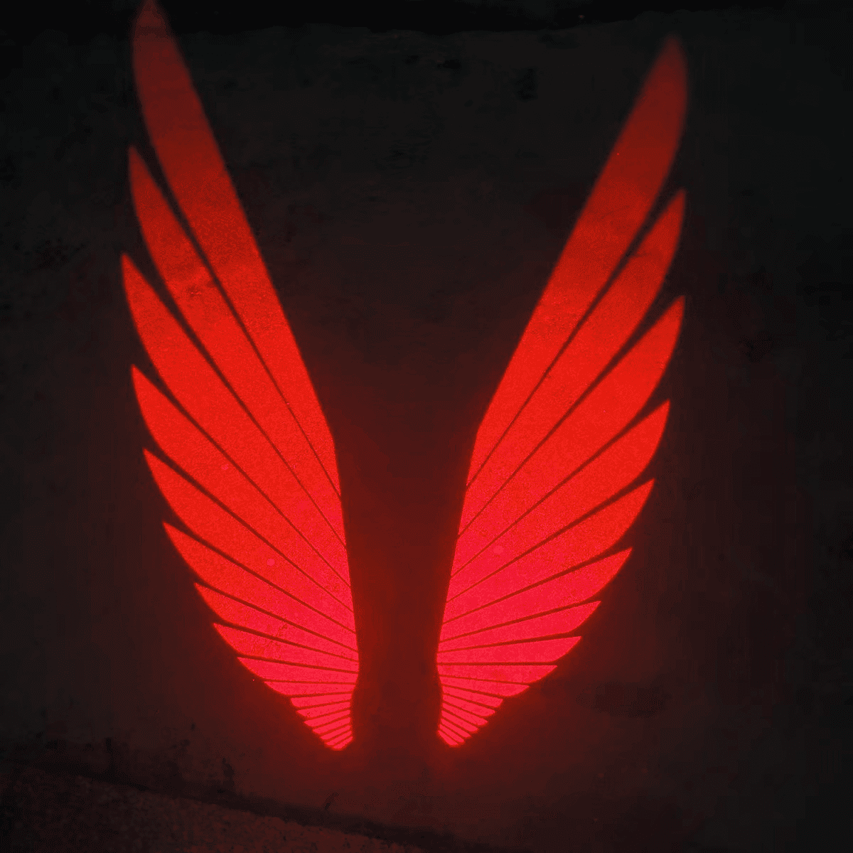 Angel Wings Puddle Lights Universal